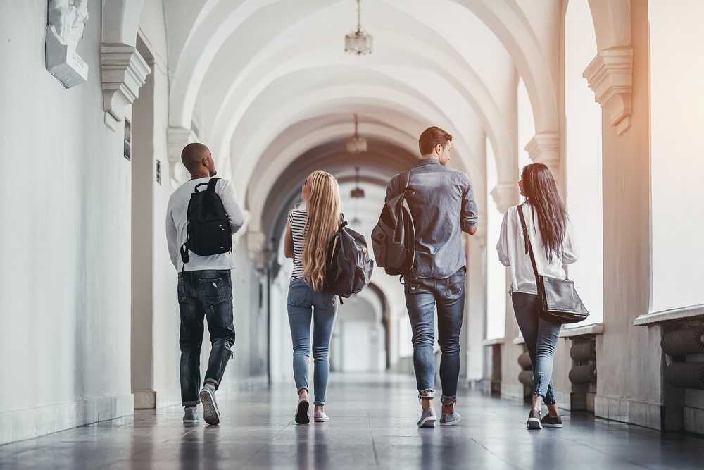 Collegestock